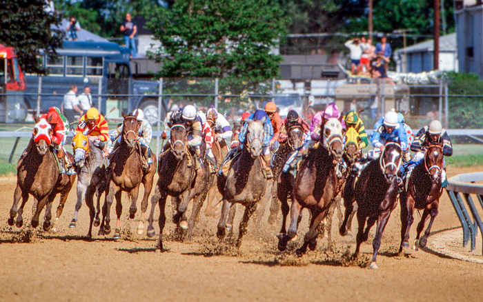 Louisville, where it all started for Pleasant Colony (five horses in from the left).